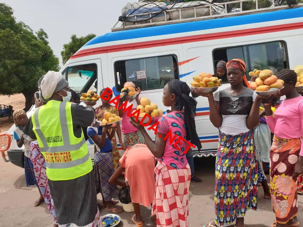 Des jeunes filles formées en techniques de restauration à Gao