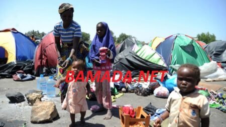 Le CICR visite ses réalisations à Gao