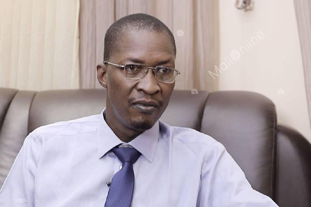 Insécurité au Mali : Poulô prône une autre approche