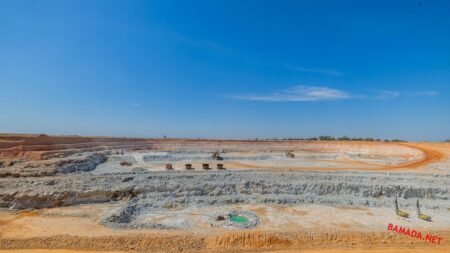 Lithium du Mali SA et Bougouni Mining SA : le ministre des Mines rassuré par l’évolution des activités
