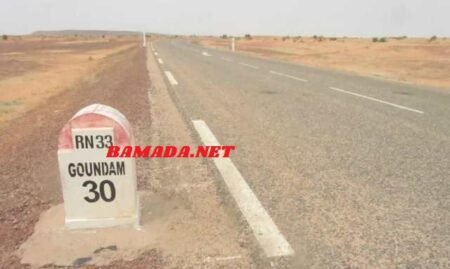 Goundam : travaux de faucardage pour redonner vie au lac Télé