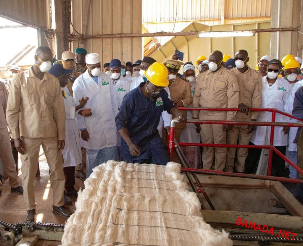Le coton et l’or dans la zone de turbulence : Des perspectives pas très réjouissantes pour le budget national