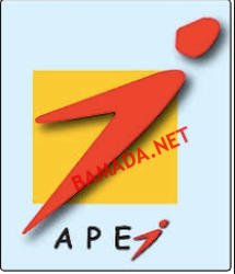 MAUVAISE GESTION FINANCIÈRE À L’APEJ : PLUS DE 820 MILLIONS DE FRANCS CFA D’IRRÉGULARITÉS CONSTATÉS PAR LE BUREAU DU VÉRIFICATEUR GÉNÉRAL