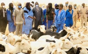 Fermeture des frontières terrestres Mali-Mauritanie : l’arrêt de la transhumance inquiète les éleveurs mauritaniens