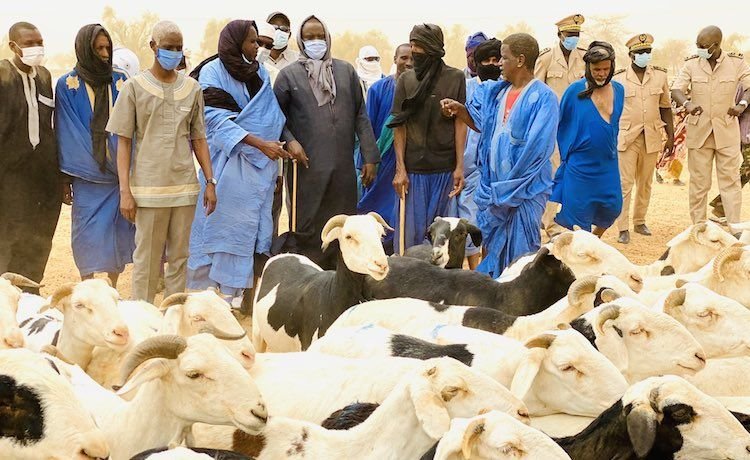 Fermeture des frontières terrestres Mali-Mauritanie : l’arrêt de la transhumance inquiète les éleveurs mauritaniens