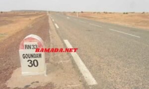 Goundam : opération de don de sang au CSRéf