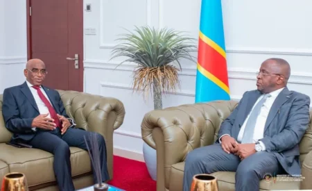 Prise de contact Ambassadeur, S.E.M Aguibou DIALLO / Vice-premier ministre de la RDC : la communauté malienne au cœur des échanges