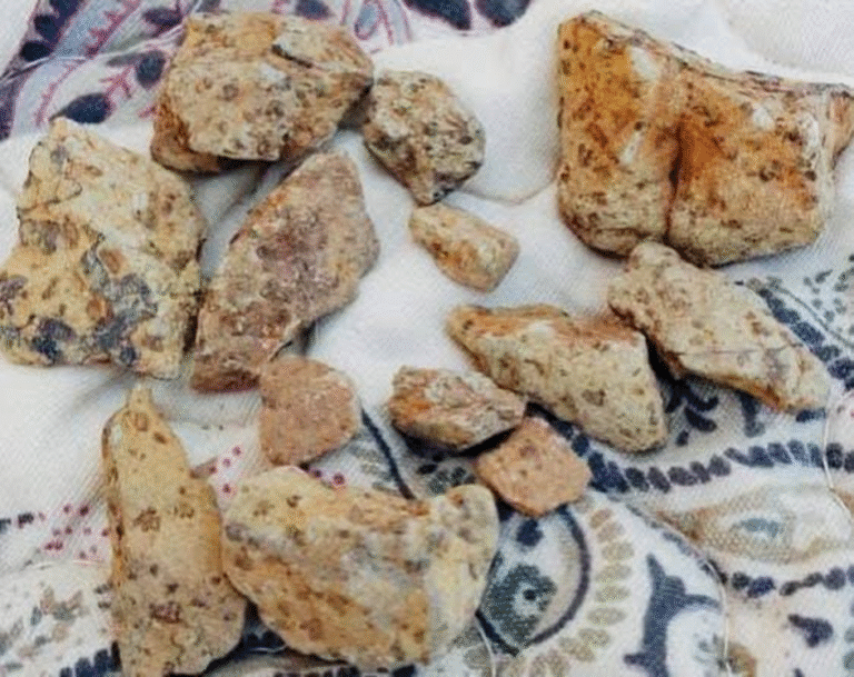 RUÉE VERS L’OR DANS LA RÉGION DE GAO : UN NOUVEAU SITE DÉCOUVERT PAR LES ORPAILLEURS À TILEMSI