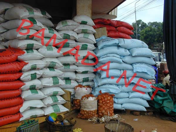 Koulikoro : baisse du prix des céréales