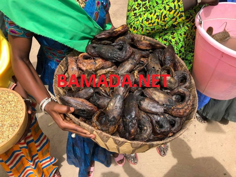 Augmentation du prix du poisson fumé à Koutiala