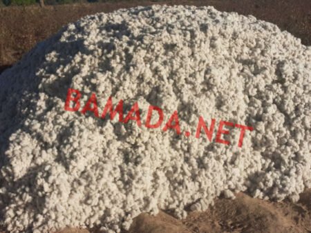 LES EXPLOITANTS AGRICOLES DES ZONES OFFICE ET COTON CHEZ LE MINISTRE DE L’AGRICULTURE : OBJECTIF : ÉVALUER LA CAMPAGNE EN COURS ET SE PROJETER DANS L’AVENIR