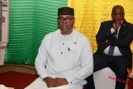 Énergie et Eau : Le Mali Adopte le Programme Africain de Mini-Réseaux, un Projet Structurant pour 8 665 Bénéficiaires.