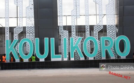 Koulikoro : l’aliment bétail et volaille impacté par la crise du carburant