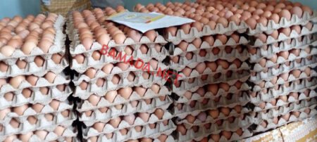 Pénurie d’œufs de poule à Kadiolo