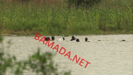 Nouveau bilan du chavirement de pinasse à Dangha