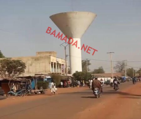 La ville de San dispose d’un nouveau marché à bétail