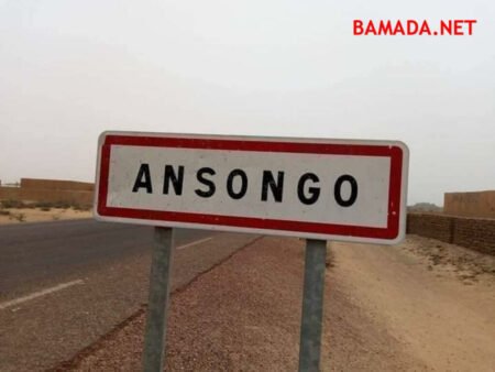 Ansongo : lancement d’un projet d’appui aux services de santé