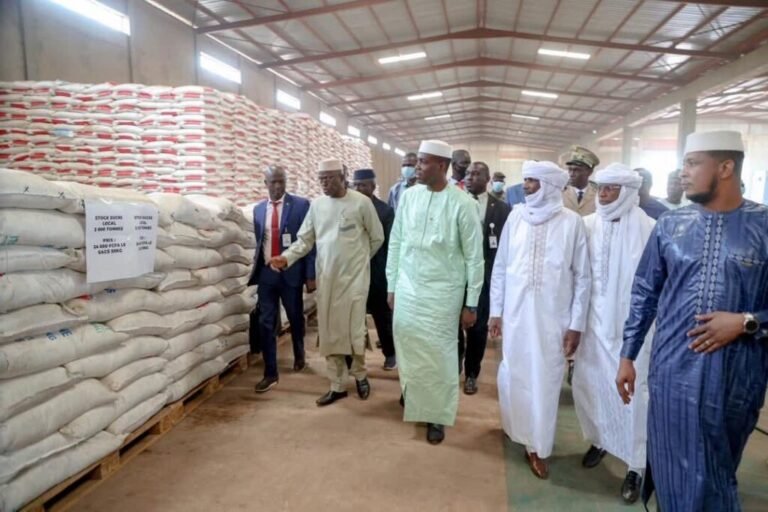Approvisionnement : le Premier ministre inspecte les stocks de denrées essentielles